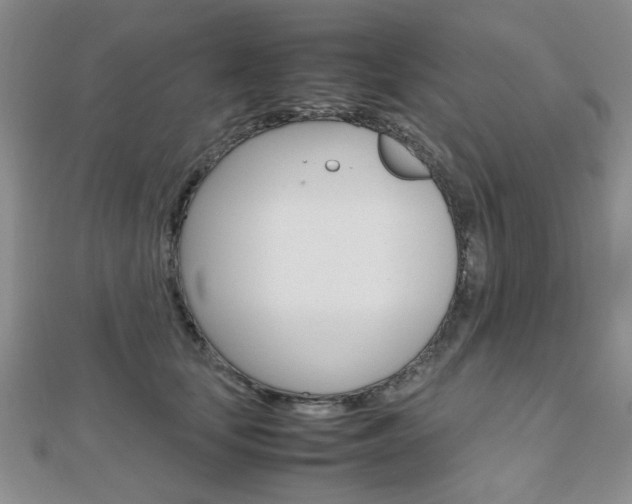 X0000112810659200908210939