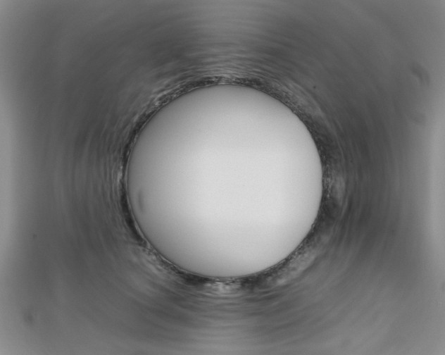 X0000112810660200908210939