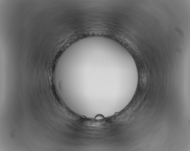 X0000112810661200908210939