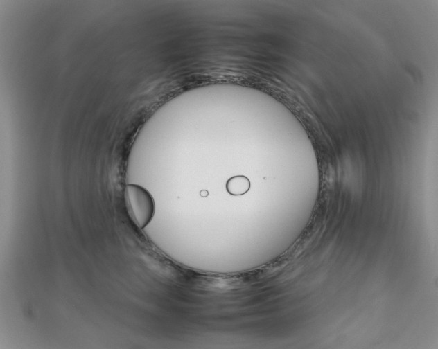 X0000112810663200908210939