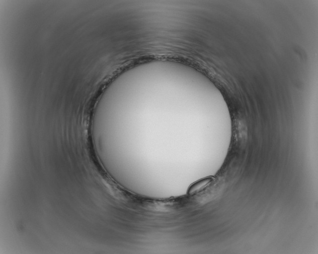 X0000112810664200908210939