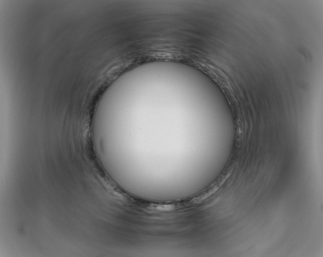 X0000112810665200908210939