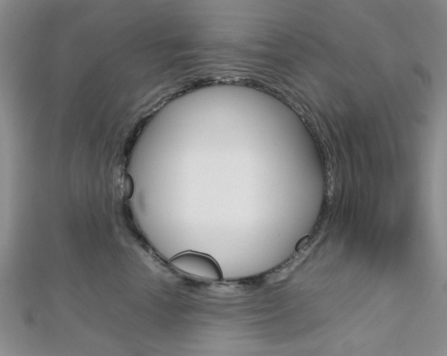 X0000112810666200908210939
