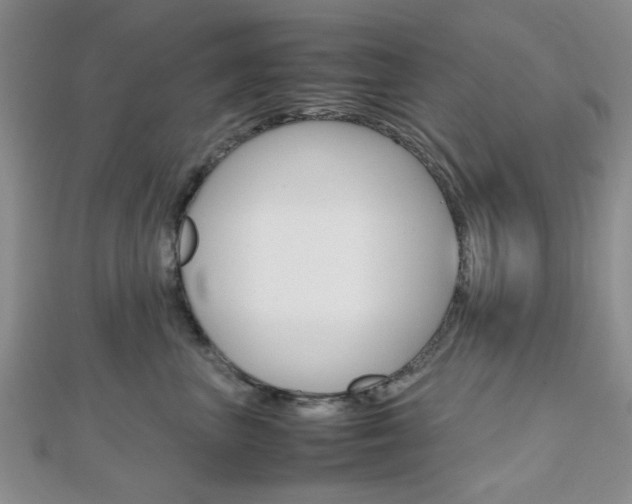 X0000112810667200908210939