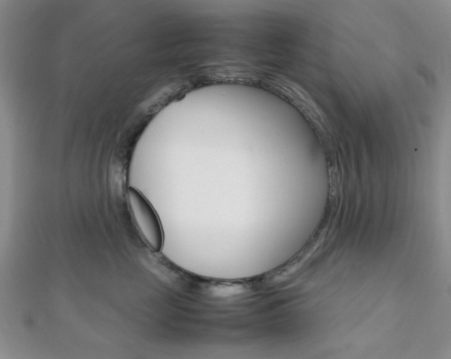 X0000112810669200908210939