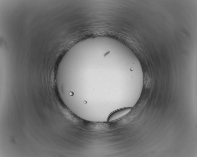 X0000112810670200908210939