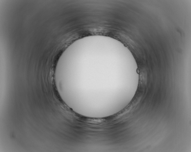X0000112810671200908210939