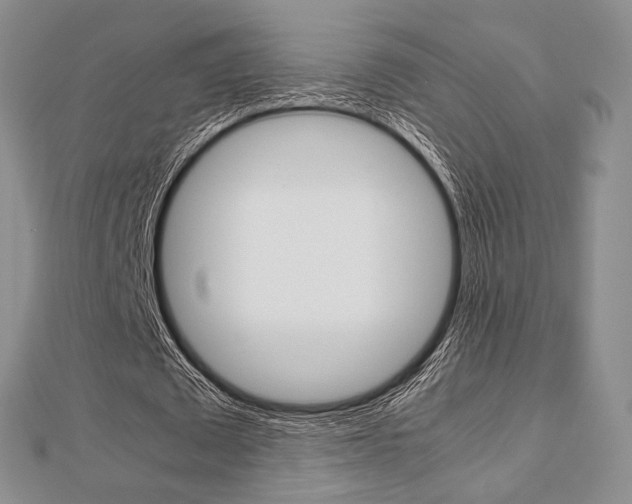 X0000112810673200908210939