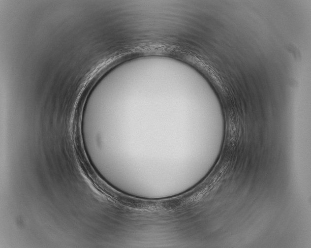 X0000112810674200908210939