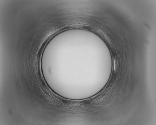 X0000112810675200908210939