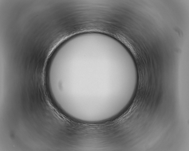 X0000112810676200908210939
