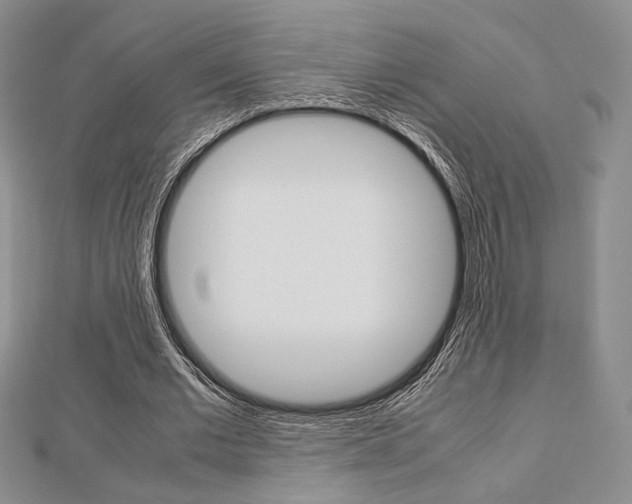 X0000112810677200908210939