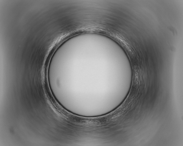 X0000112810678200908210939