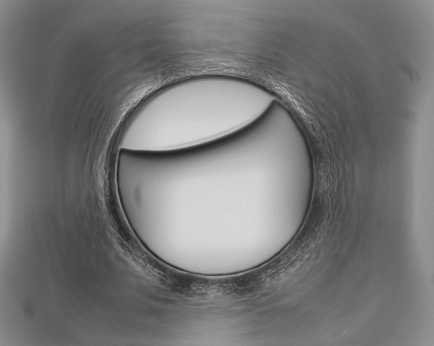 X0000112810679200908210939