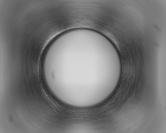 X0000112810680200908210939