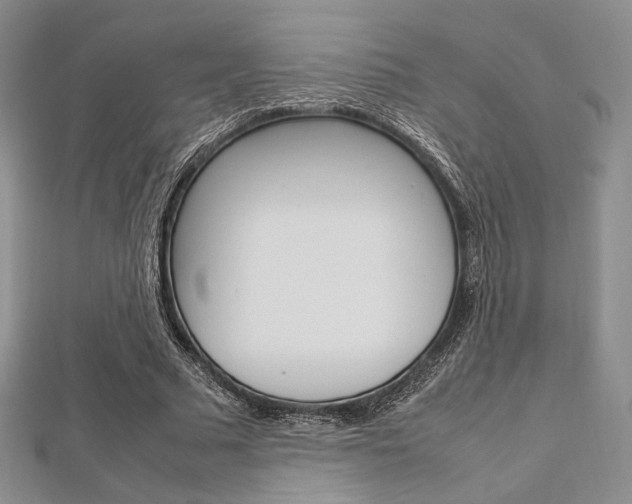 X0000112810681200908210939