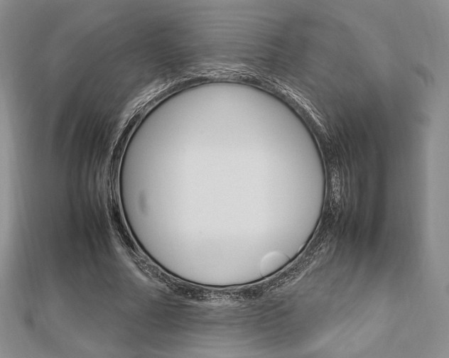 X0000112810682200908210939