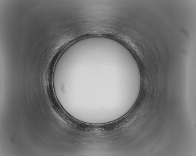 X0000112810683200908210939