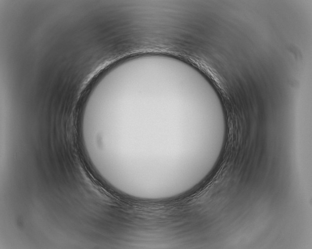 X0000112810684200908210939