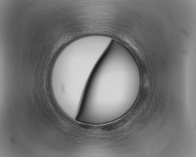 X0000112810685200908210938