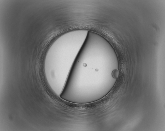 X0000112810687200908210938