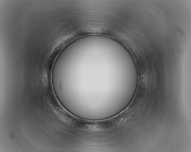 X0000112810688200908210938