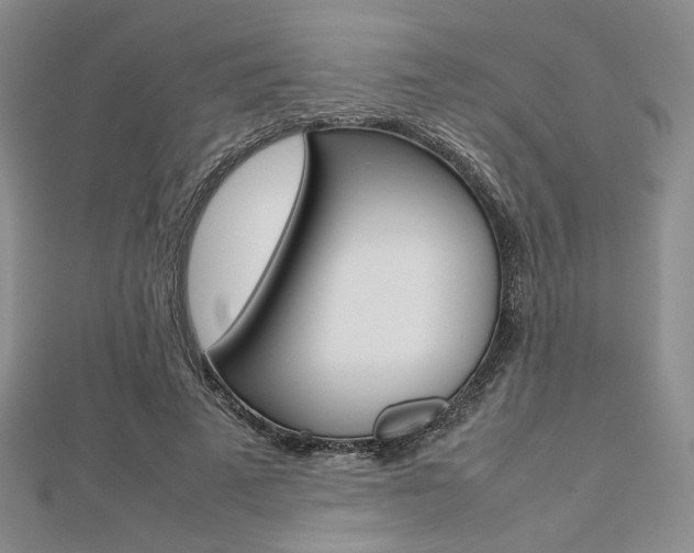 X0000112810689200908210938