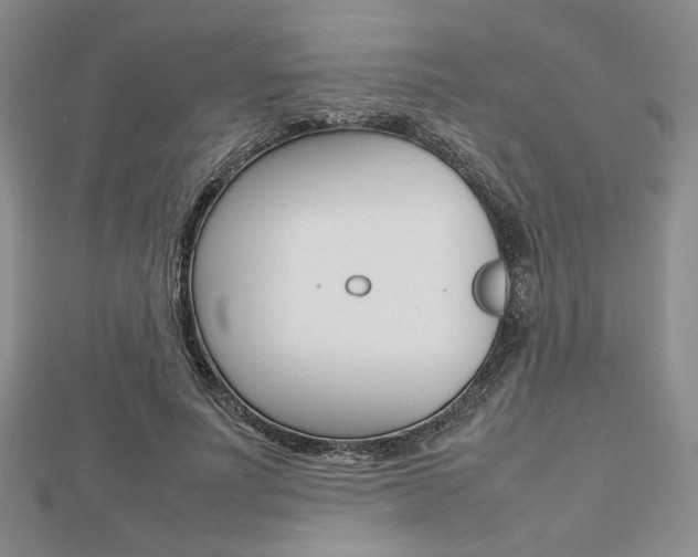 X0000112810691200908210938