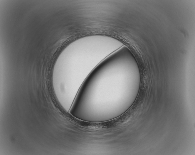 X0000112810693200908210938