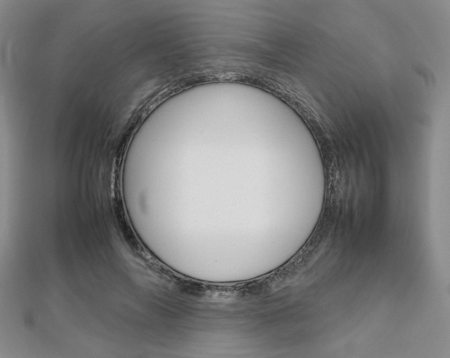 X0000112810694200908210938