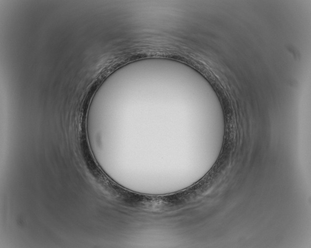 X0000112810695200908210938