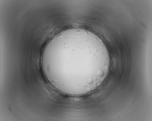 X0000112810698200908210938