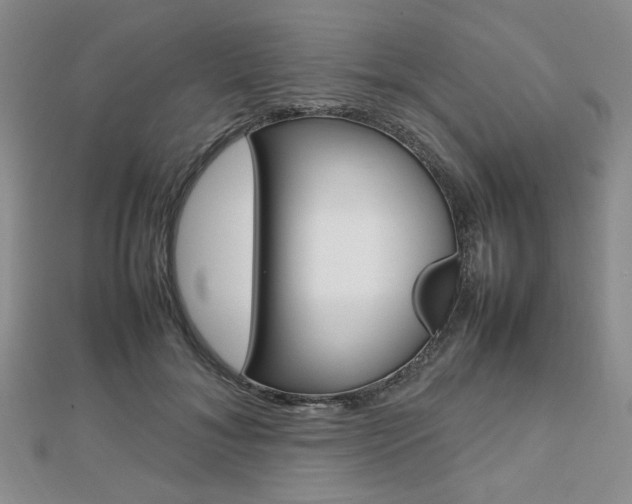 X0000112810700200908210938