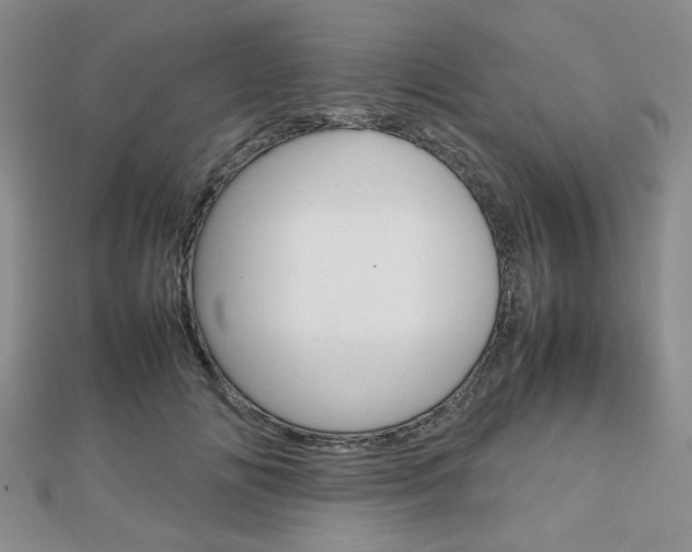 X0000112810702200908210938