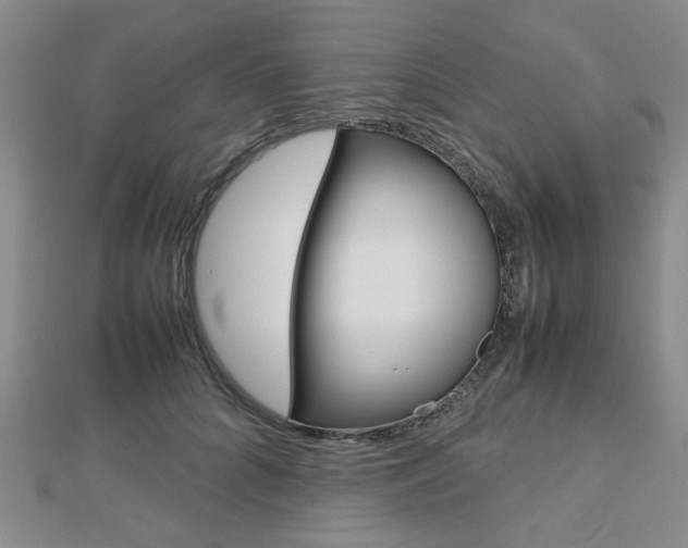 X0000112810704200908210938