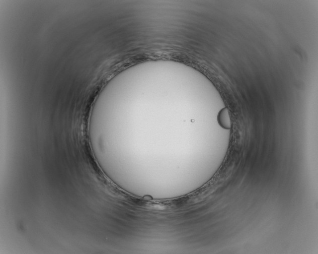 X0000112810706200908210938