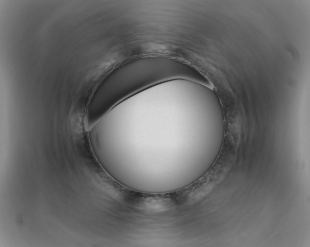 X0000112810708200908210938