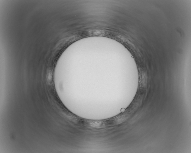 X0000112810709200908210938