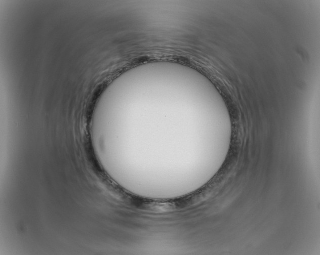 X0000112810711200908210938