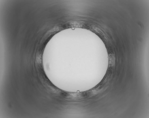X0000112810713200908210938