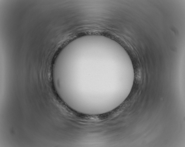 X0000112810715200908210938