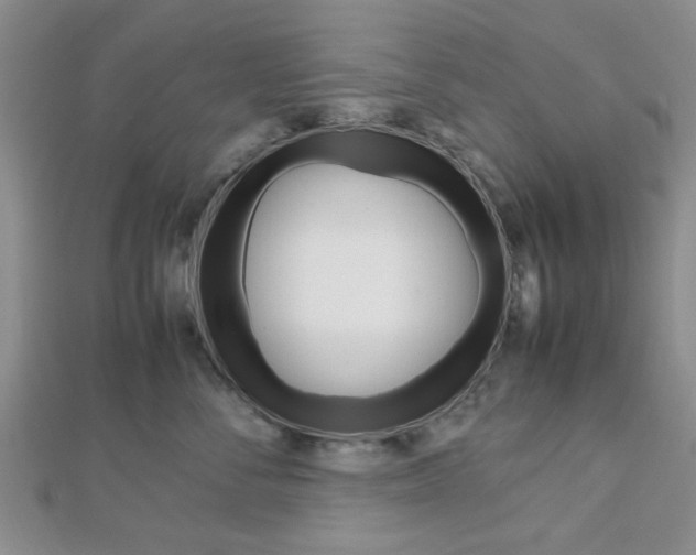 X0000112810716200908210938