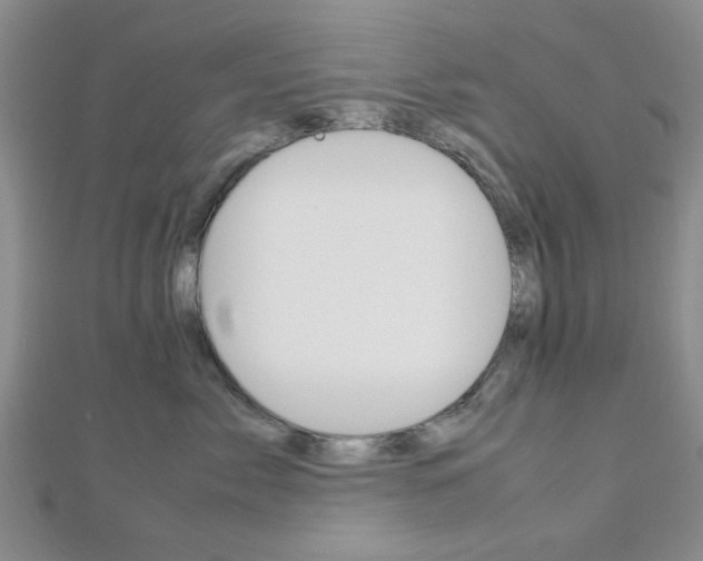 X0000112810717200908210938