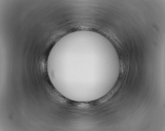 X0000112810718200908210938