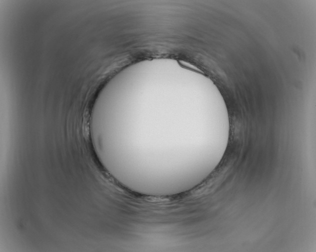 X0000112810719200908210938