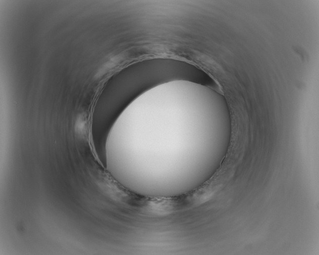 X0000112810720200908210938