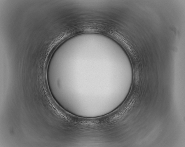 X0000112810721200908210937