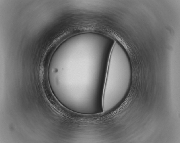 X0000112810722200908210937