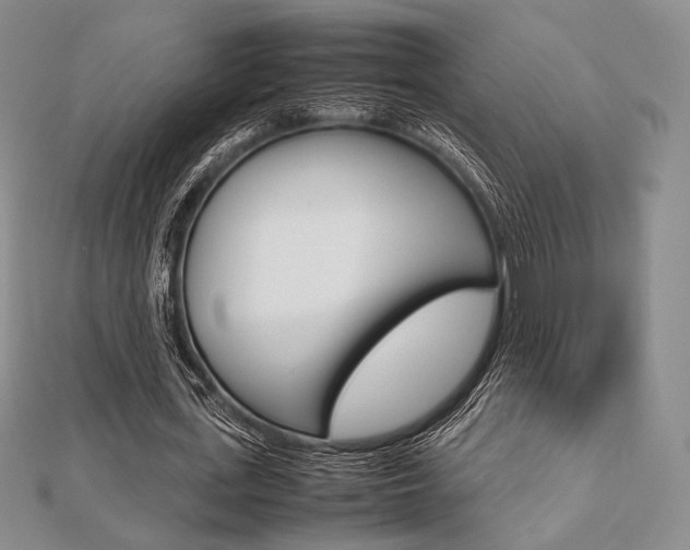 X0000112810723200908210937