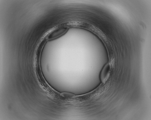 X0000112810724200908210937